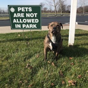 Meet your Posher, Merrick